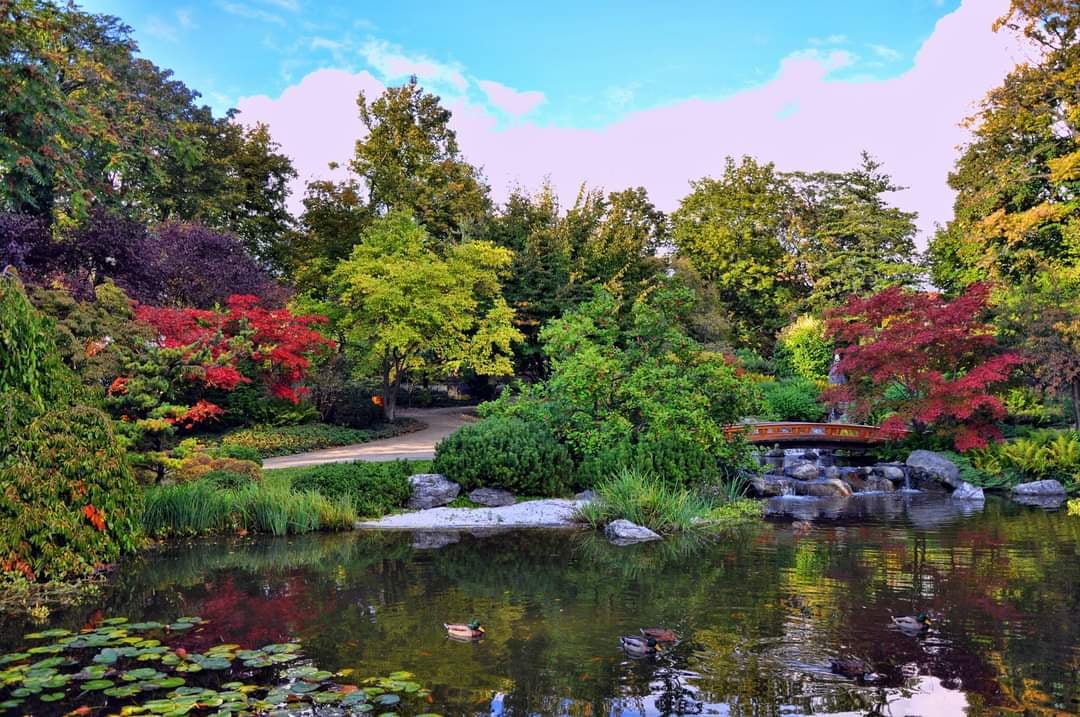 Setagayapark