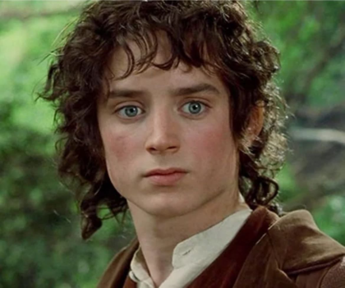 Frodo Baggins - Lord of the Rings