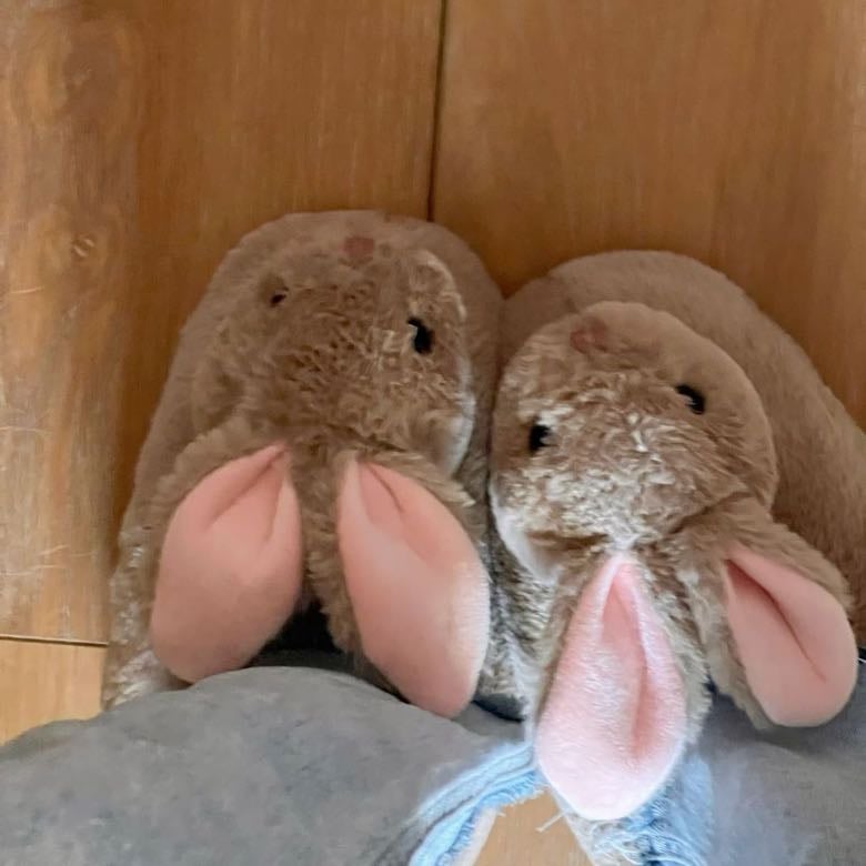 Pantuflas de animalitos