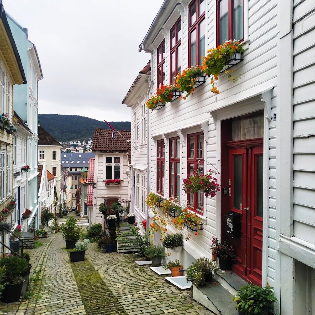 Løvetann Café & Bistro
