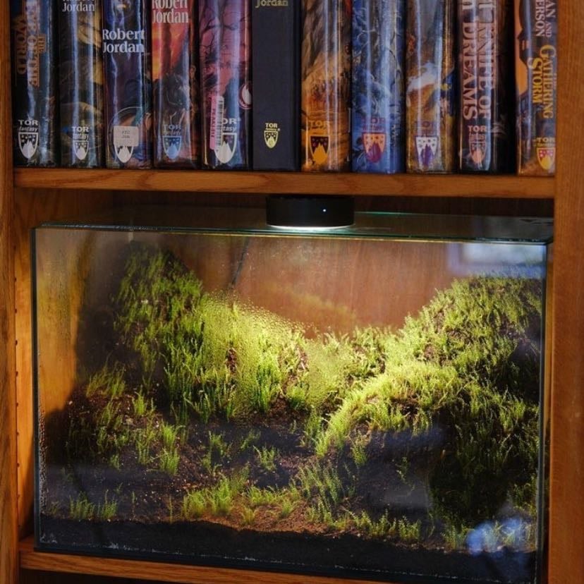 Terrarium