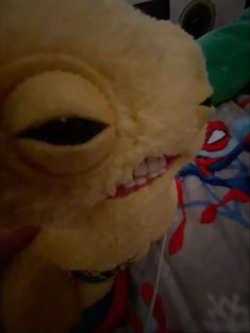 Fuggler