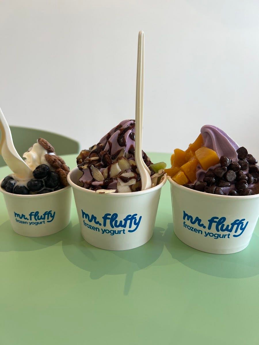 Mr. Fluffy Frozen Yogurt