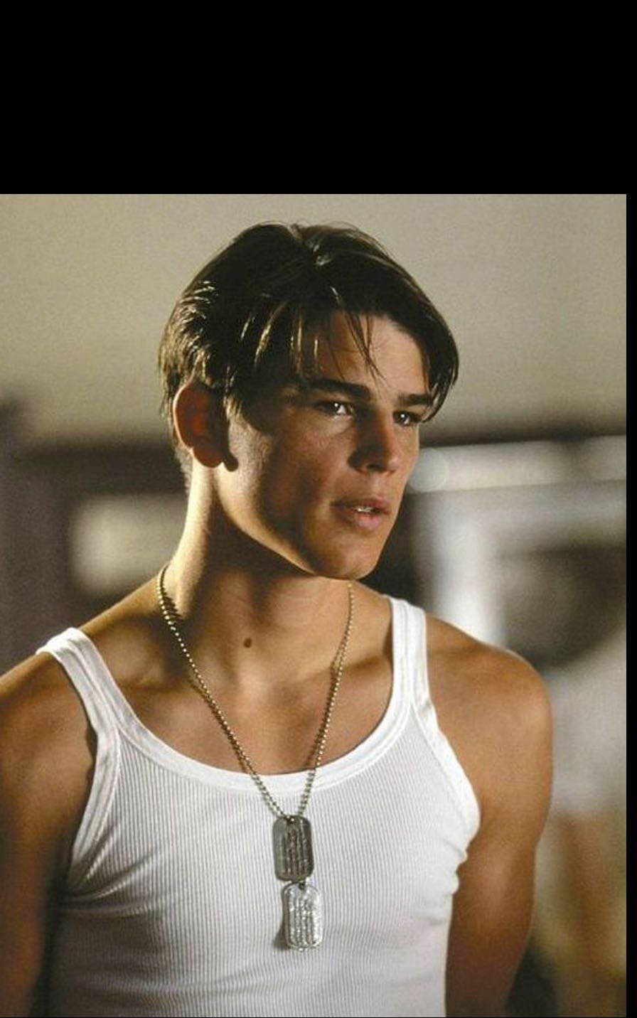 josh hartnett