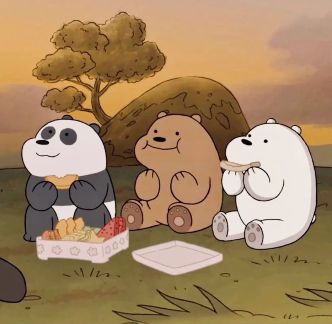 Somos osos