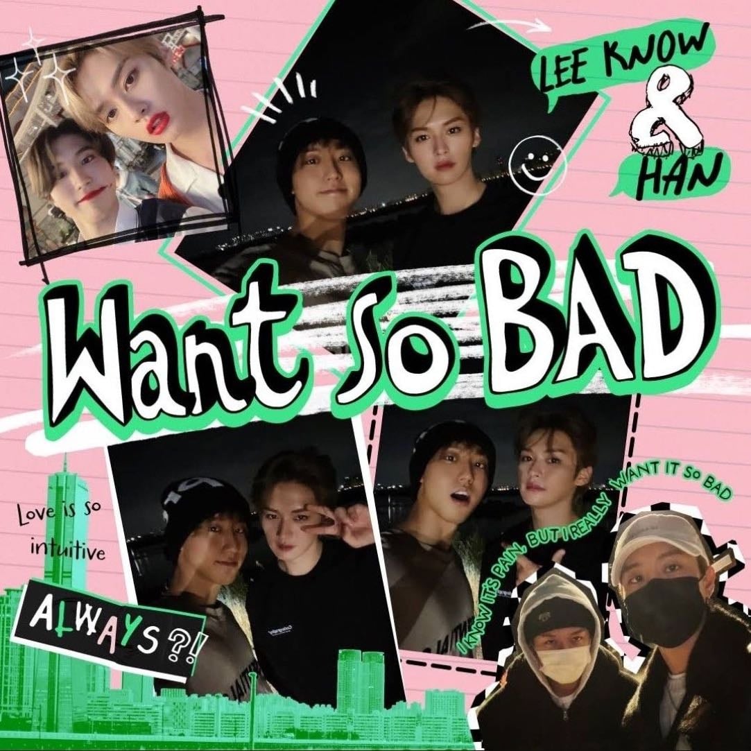 Want so BAD - Stray Kids : SKZ RECORD