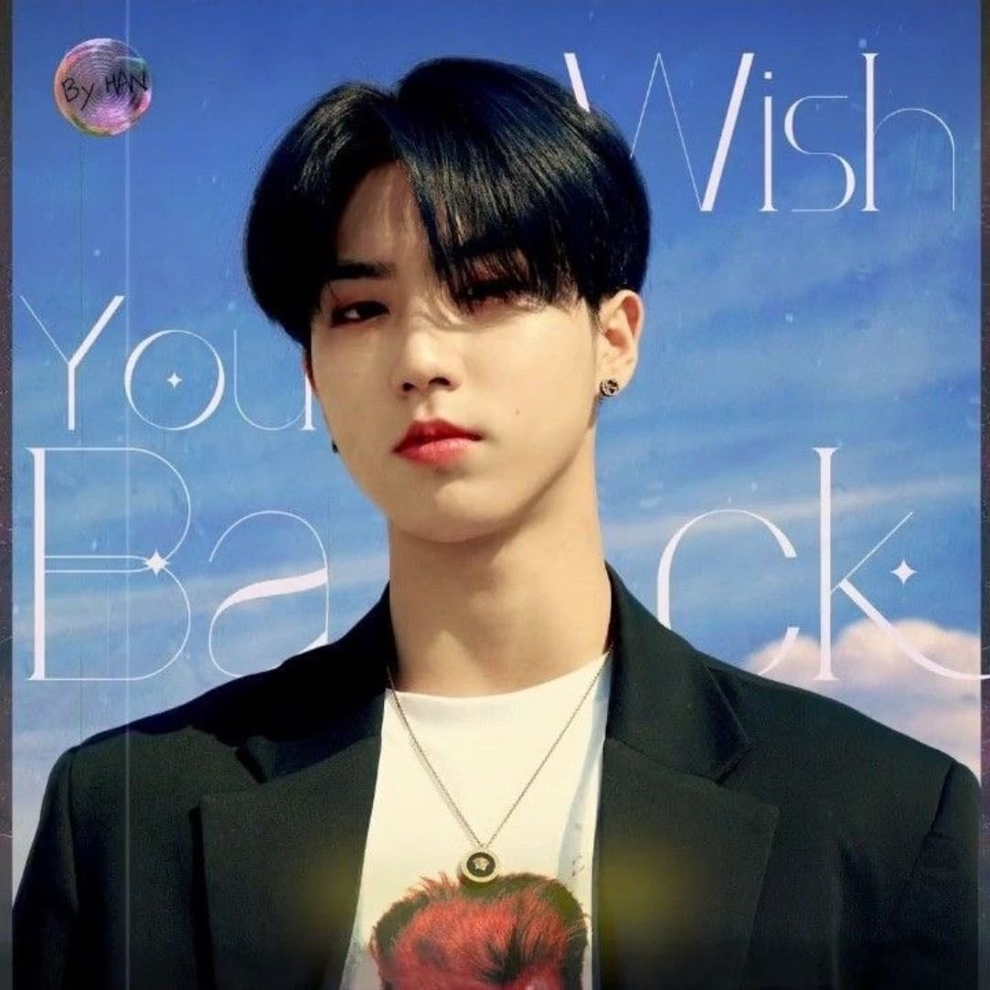 Wish You Back - Stray kids : SKZ RECORD
