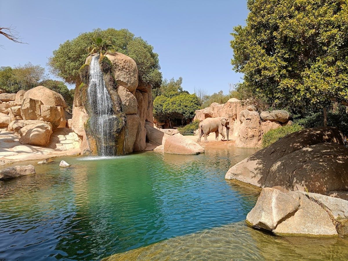 Bioparc - Si te gustan los animales