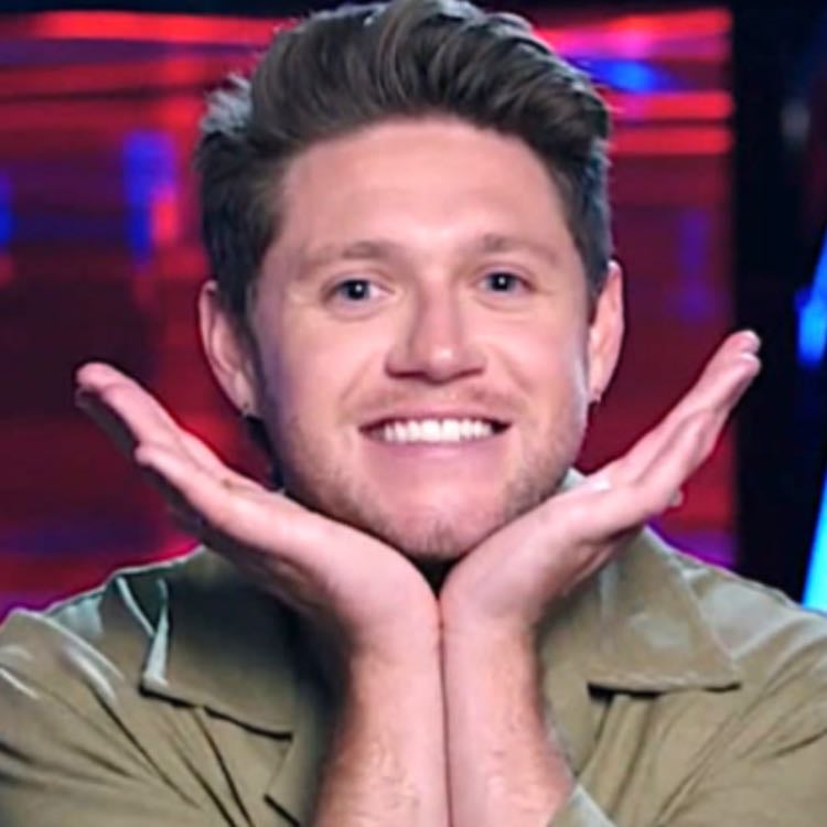 Shake that ass Horan - Niall!!!!