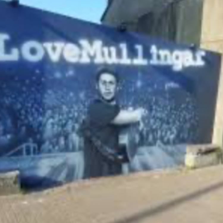 Mullingar/the 3Areana - So both of these are because of Niall I went to Mullingar to go and see everything there that is based on Niall like the mural of Clarks pub and this was so cool and fun! And I also chose the 3Areana because that is where i first saw Niall in concert, in February and it was the bast day of my life!!!