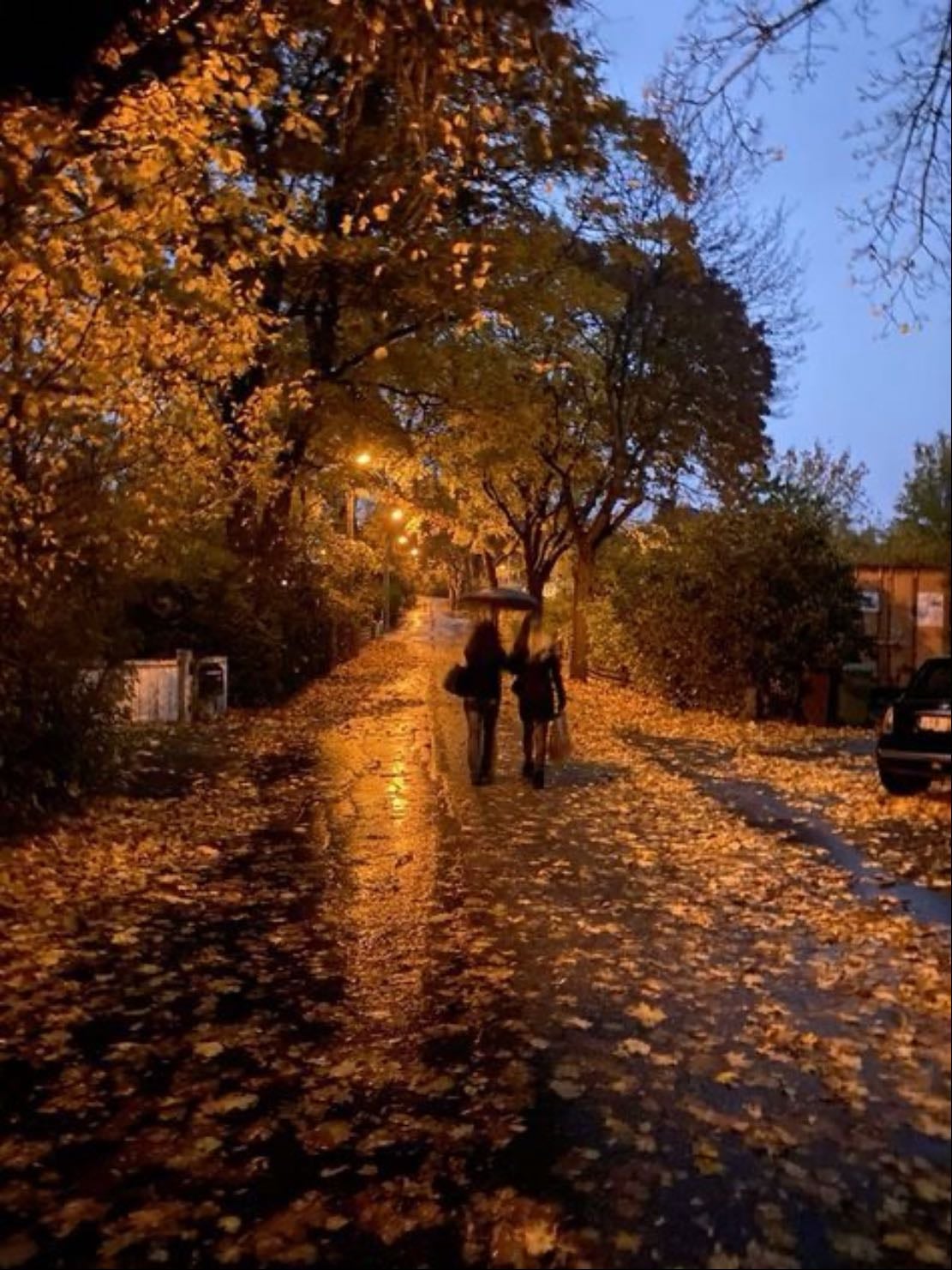 WALKS !!! <3 - the perfect walking weather ever.. <3