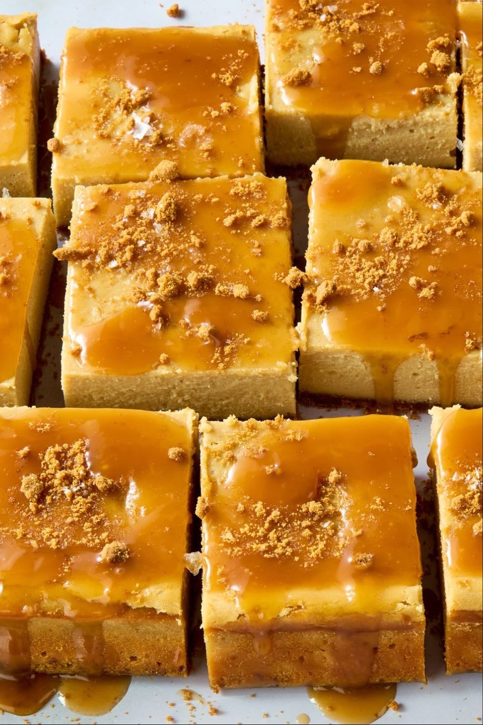 cookie butter caramel cheesecake bars