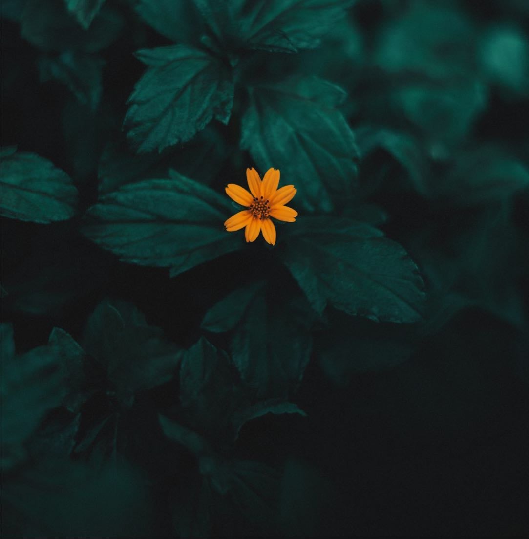 Lonely Stories