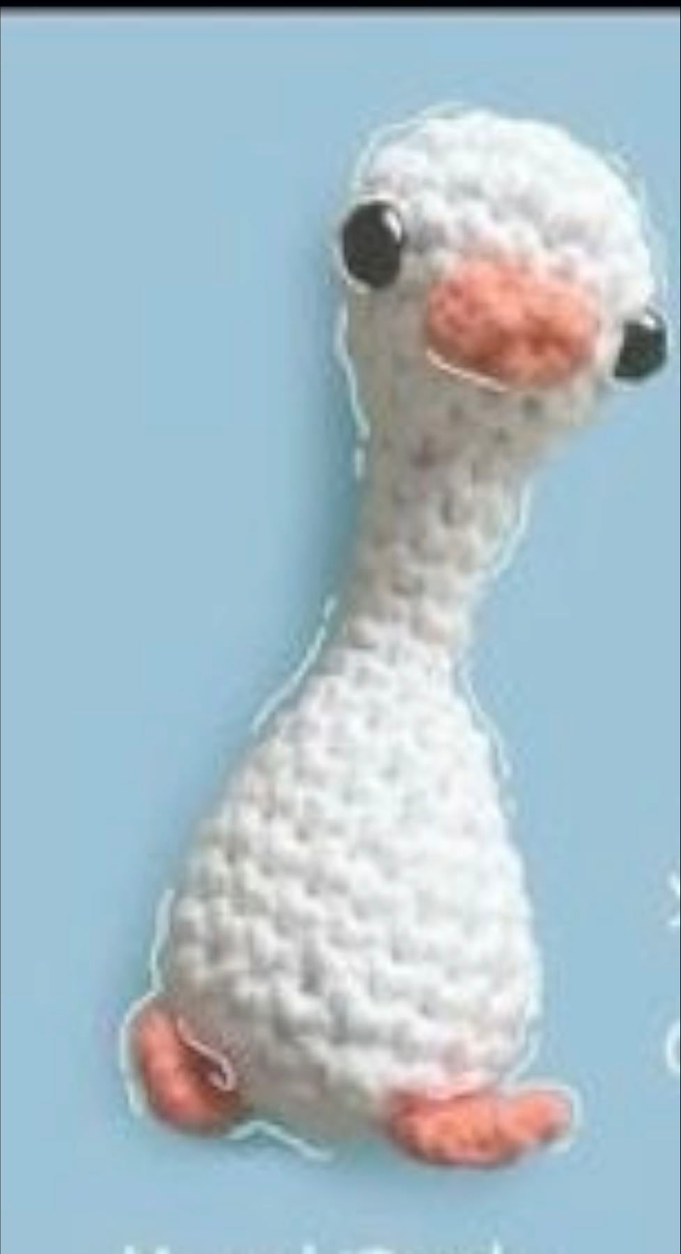 Goofy duck