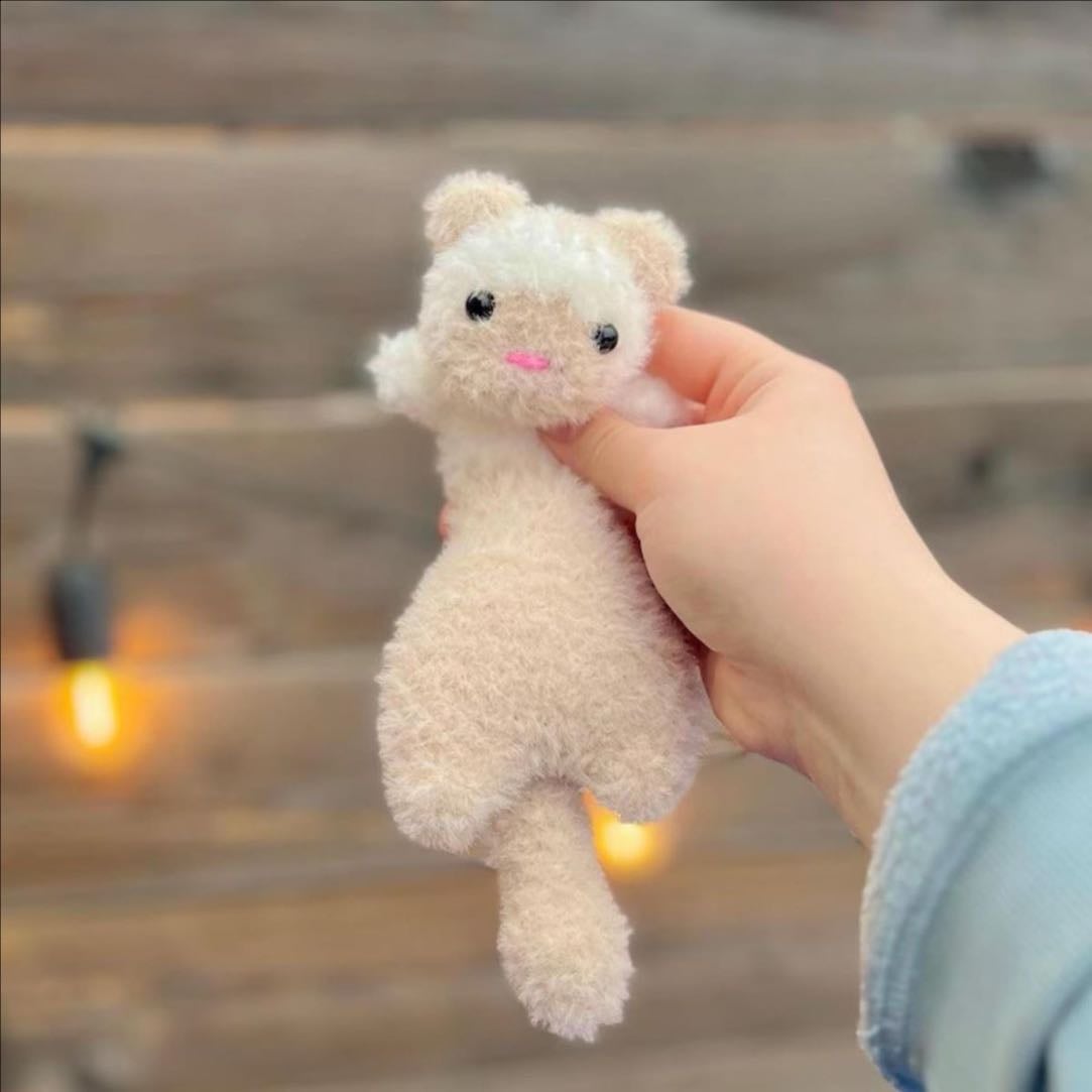 Ferret