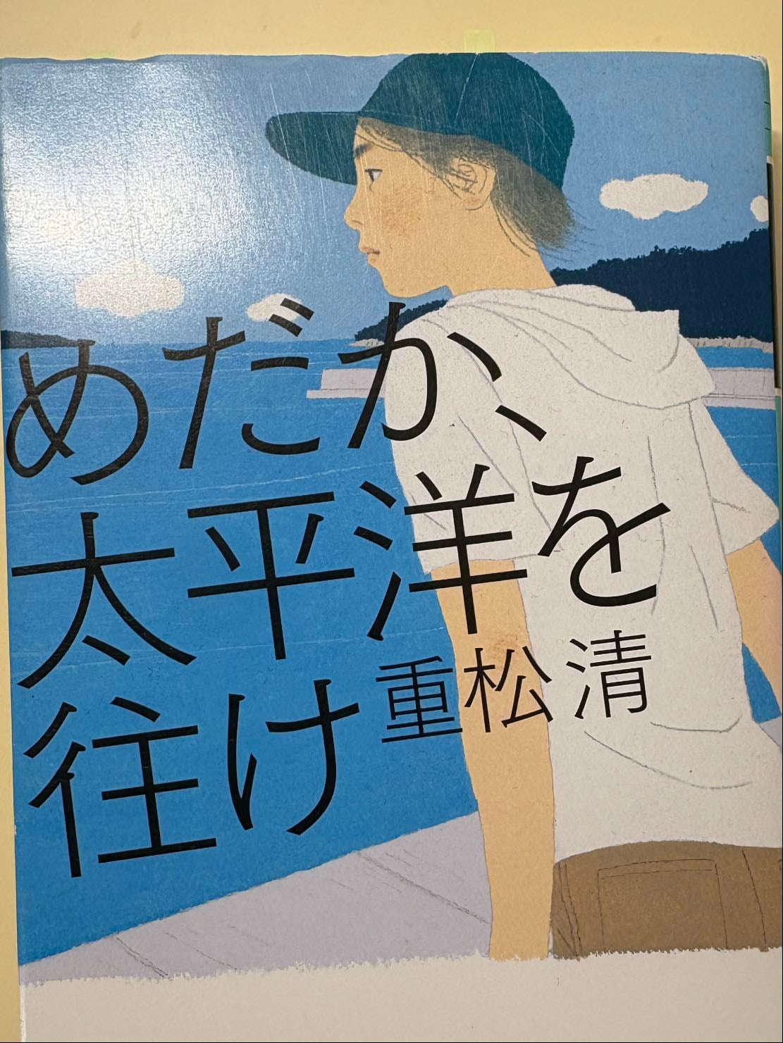 めだか、太平洋を往け - 重松清