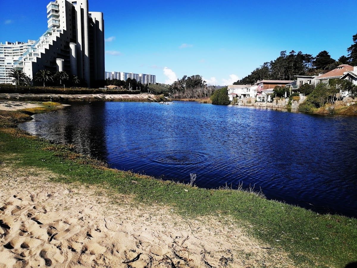 Algarrobo