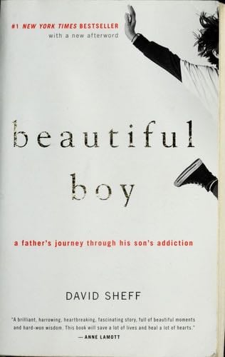 Beautiful Boy: A Father's Journey Through His Son's Addiction - David Sheff · 2009