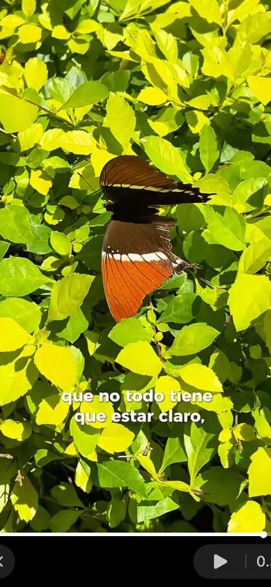 Día 14. Cierre de mes.