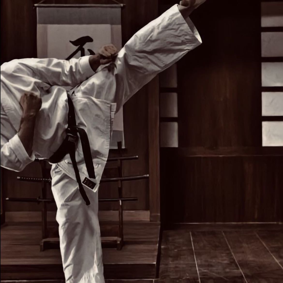 Artes marciales
