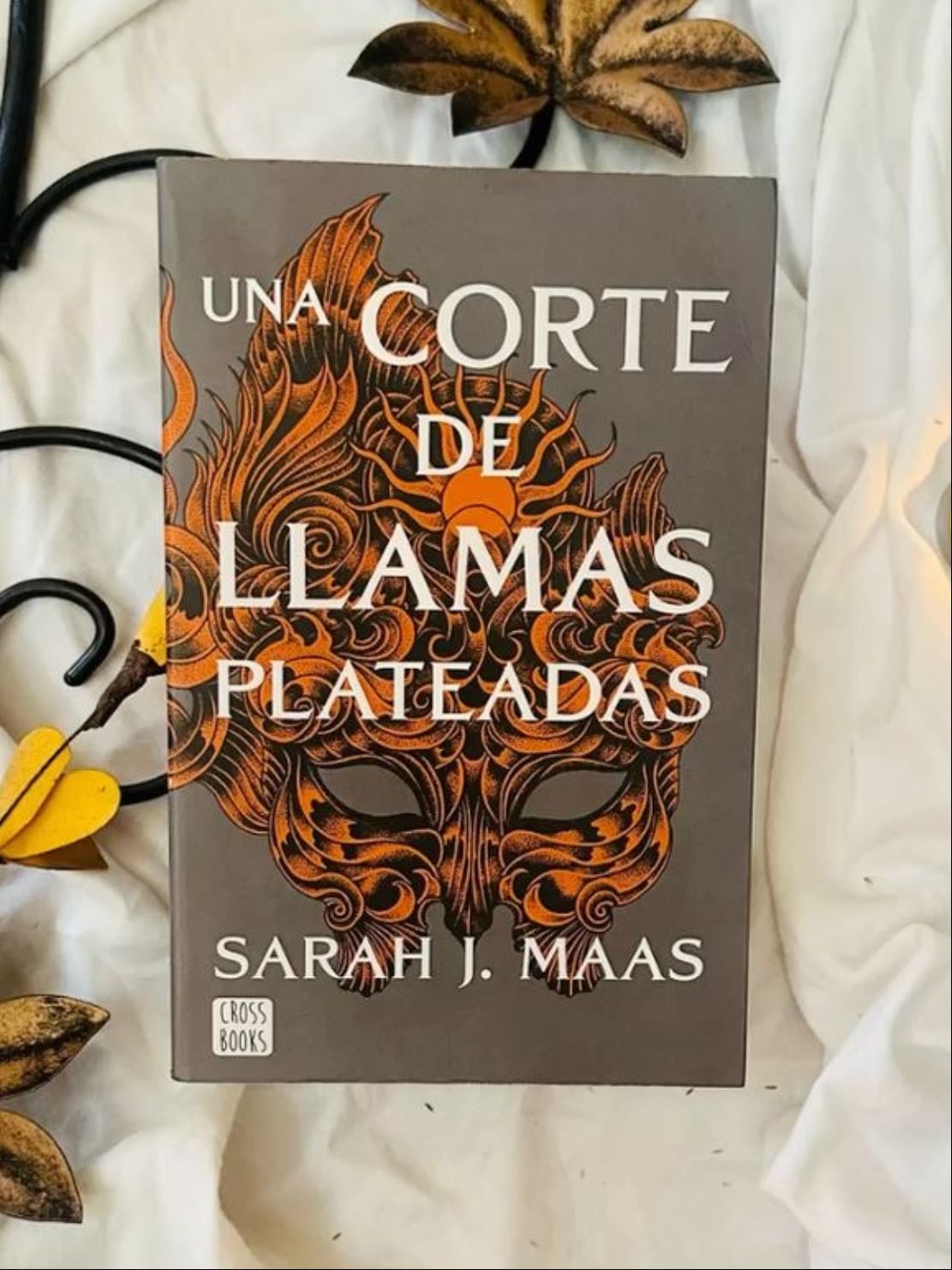 Una corte de llamas plateadas 5