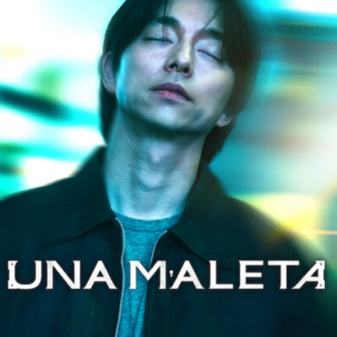 Una maleta