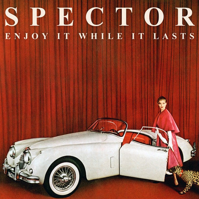 Enjoy It While It Lasts - Album · Spector