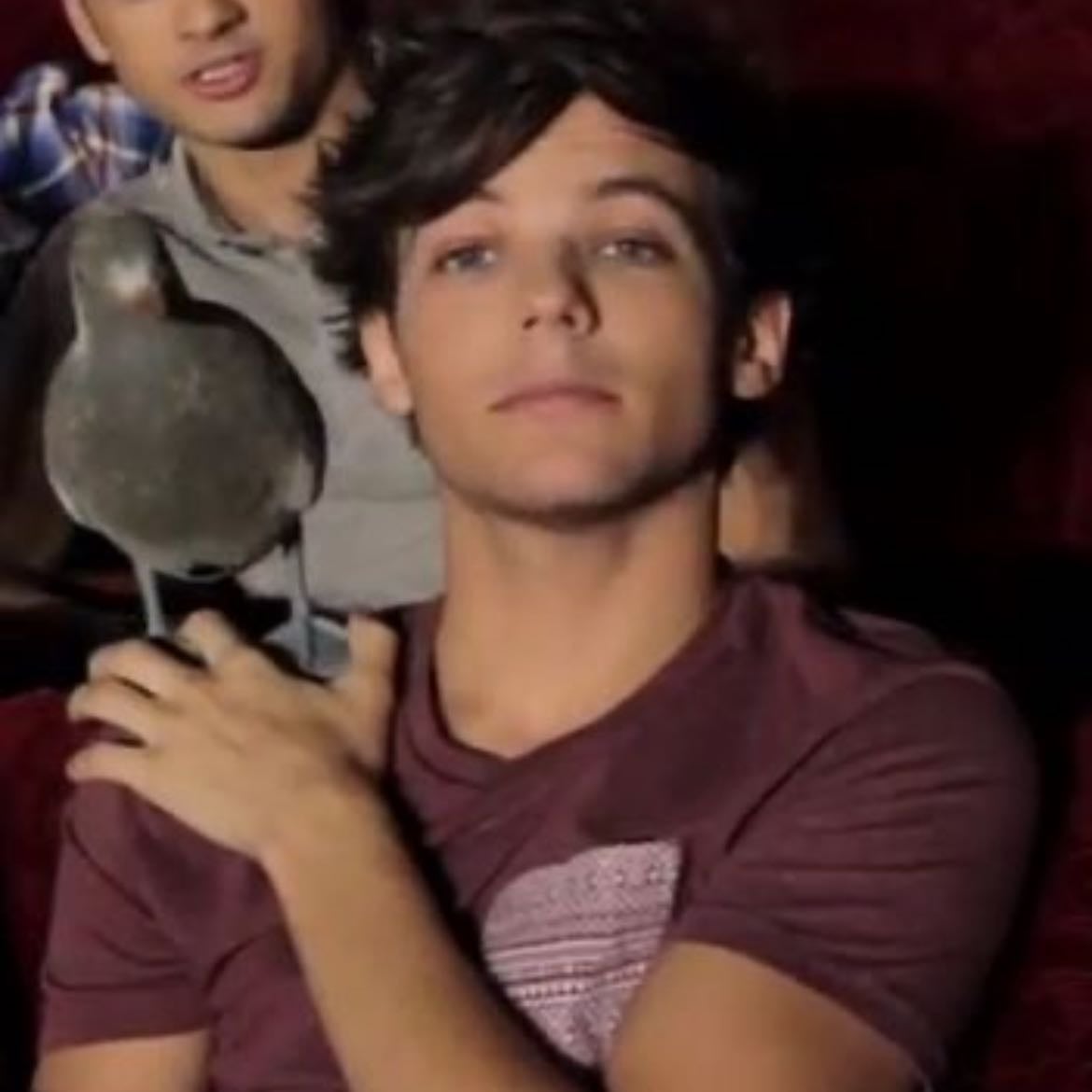 Louis Tomlinson - He’s just all you need
