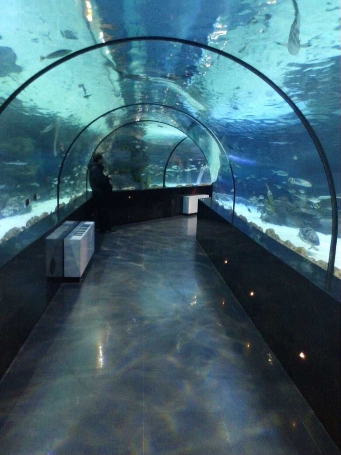 Pasar por un túnel submarino