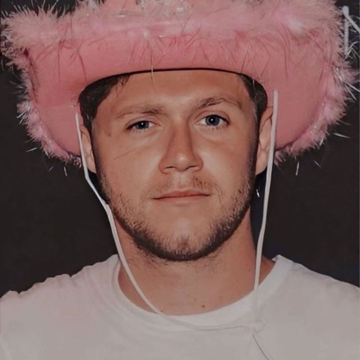 Niall Concert - please😊