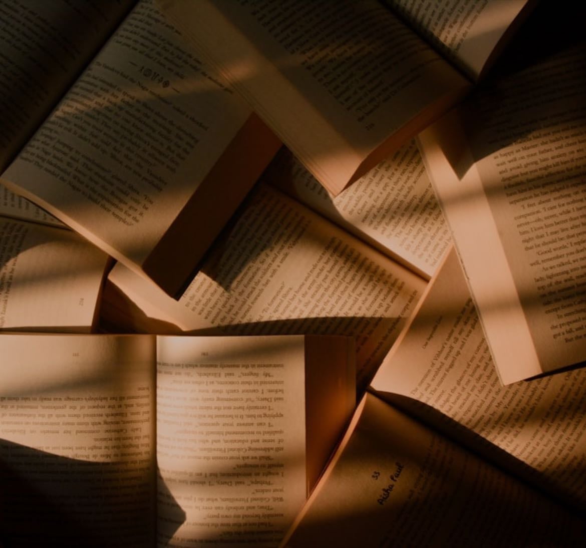 What I Have Read or Bookshelf - Books hypelist by Cari