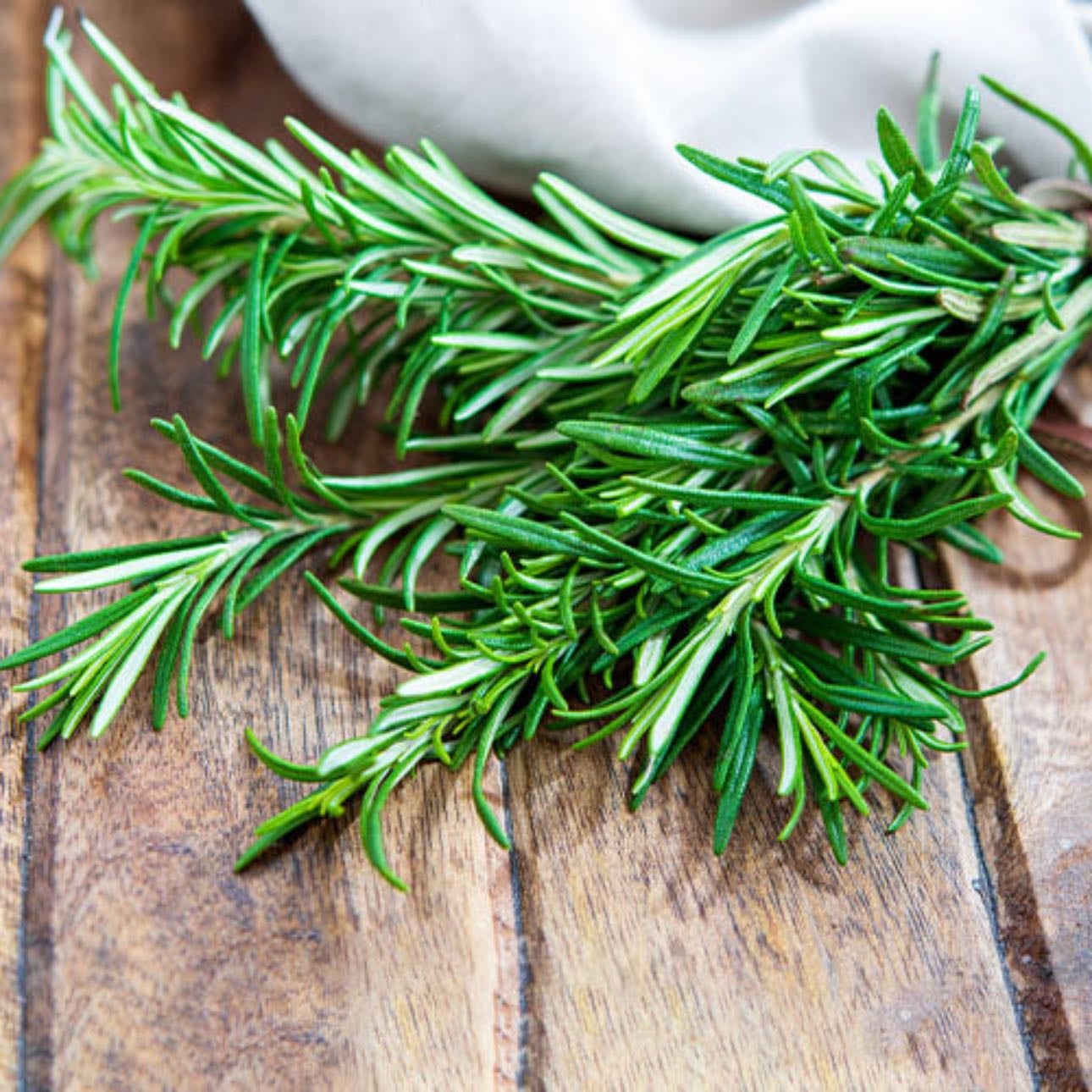 Alecrim | Rosemary