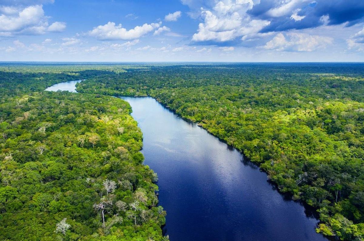 Amazônia, Brasil - 1x