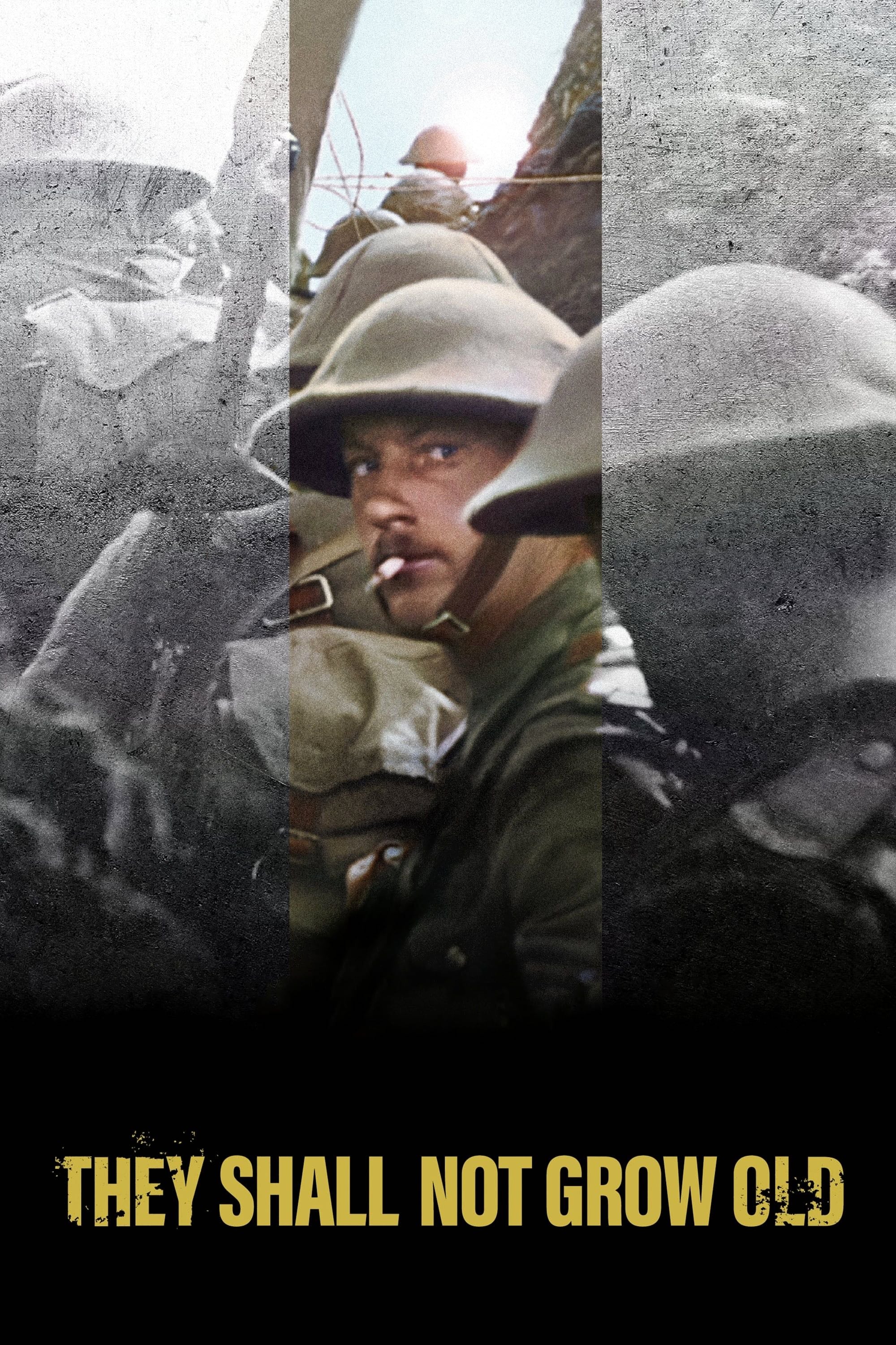 They Shall Not Grow Old - Peter Jackson · 2018