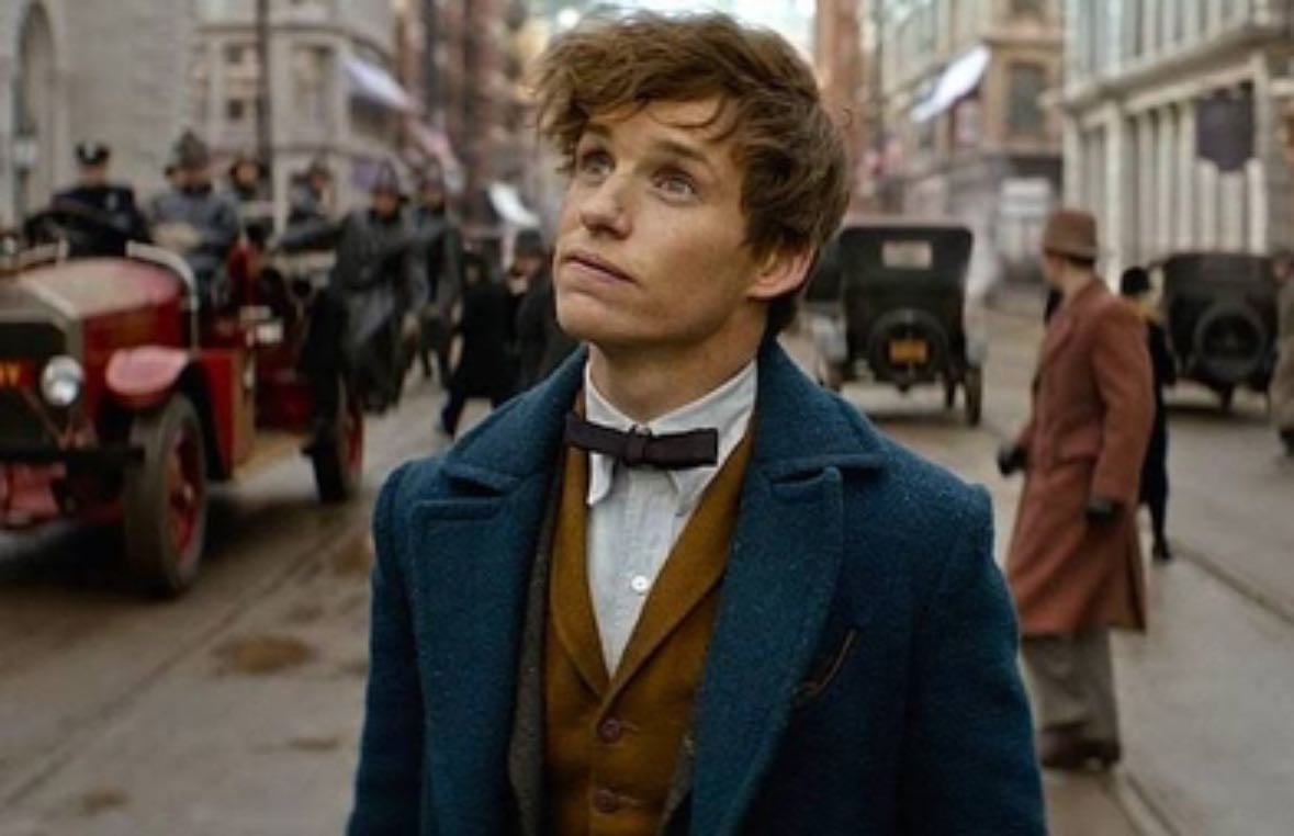 newt scamander - fantastic beasts