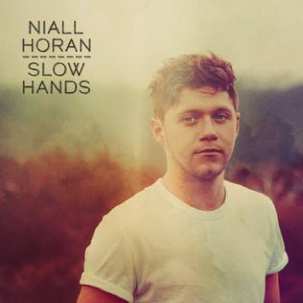 Slow Hands - Song 路 Niall Horan