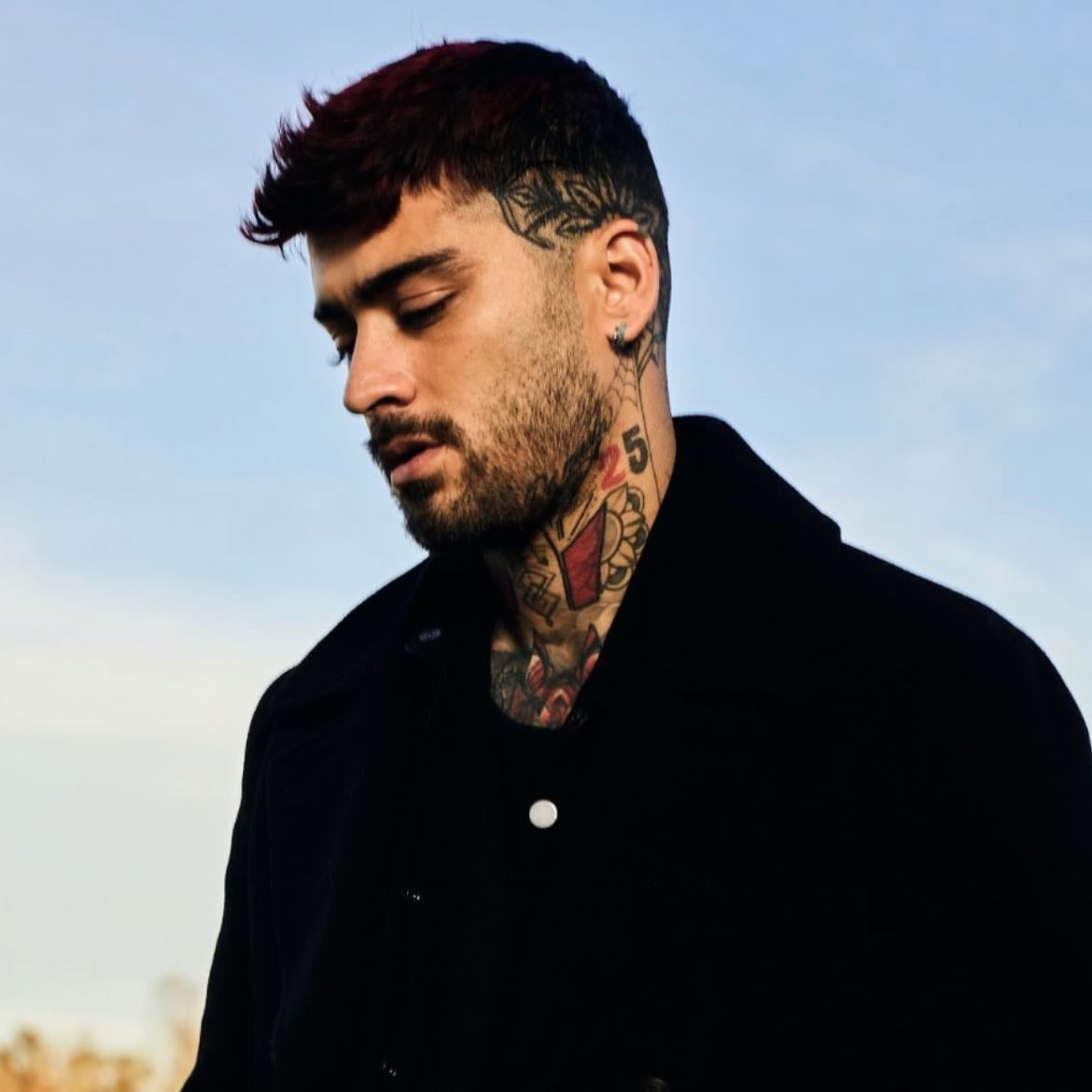 ZAYN - Artist