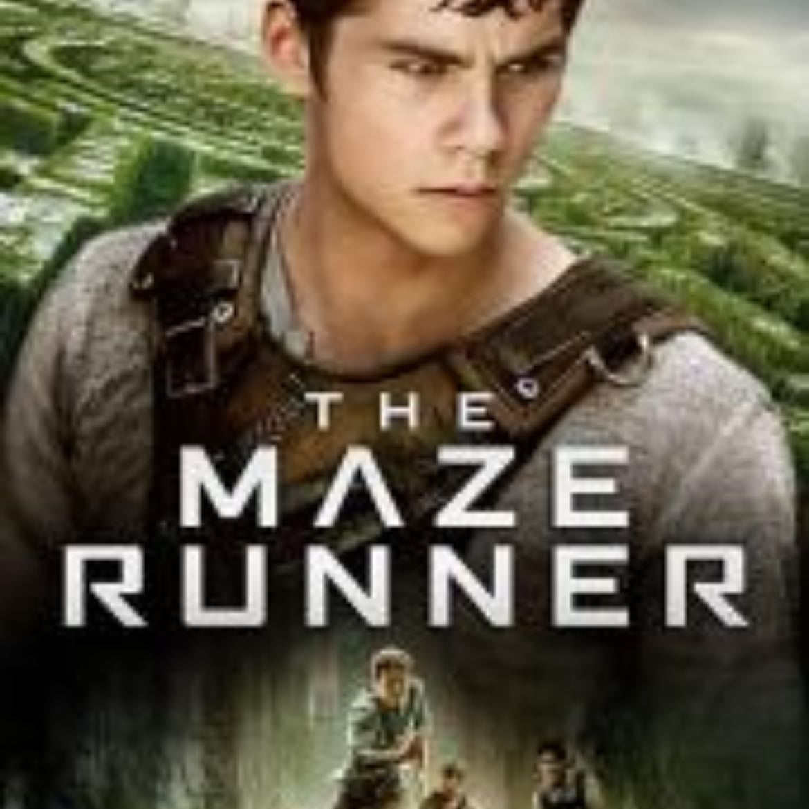 The Maze Runner - Wes Ball · 2014