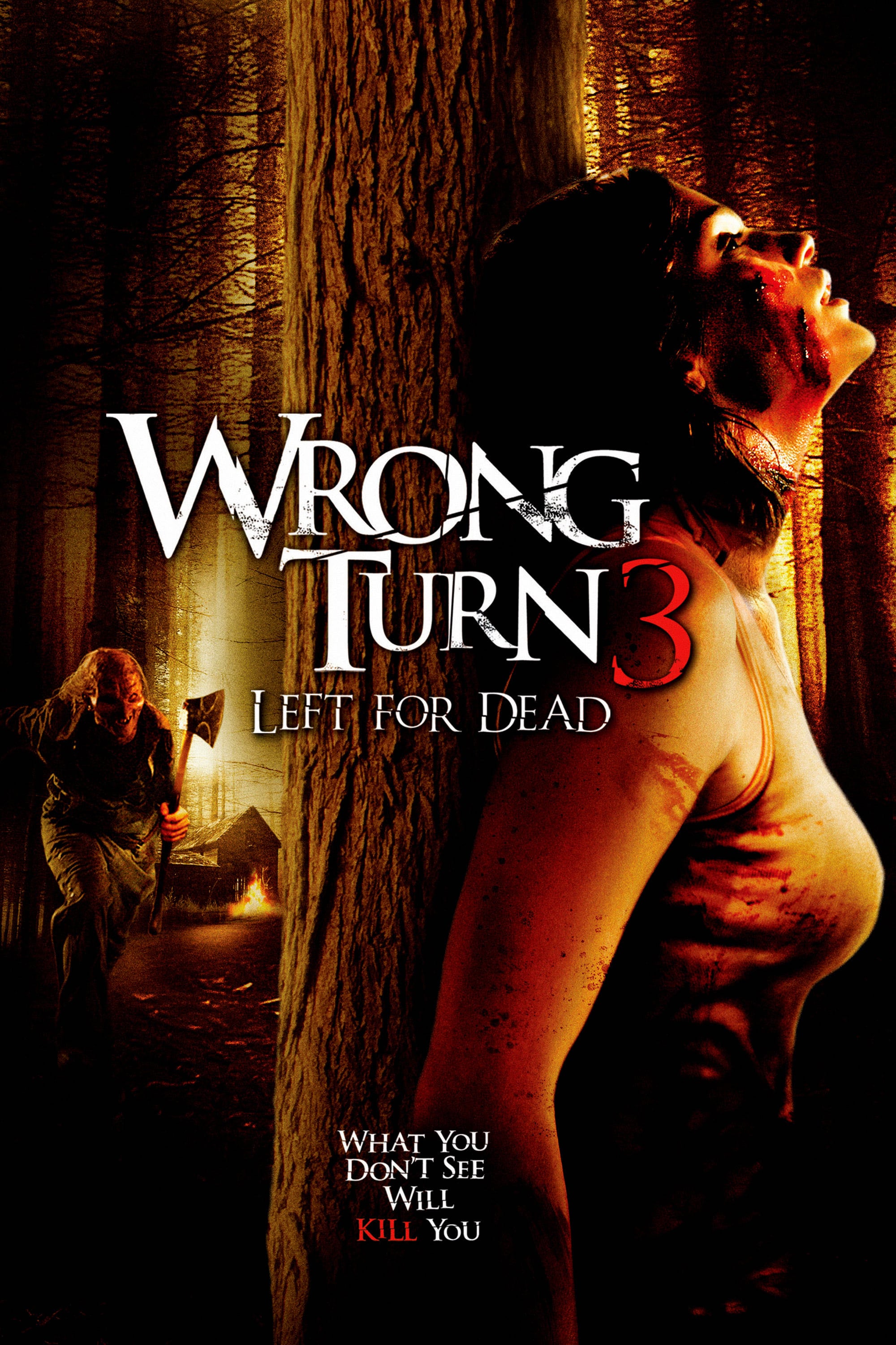 Wrong Turn 3: Left for Dead - Declan O'Brien · 2009