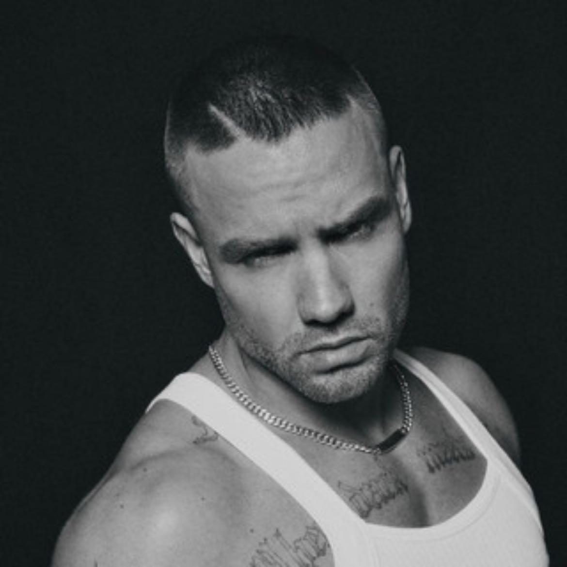 Liam Payne - Artist