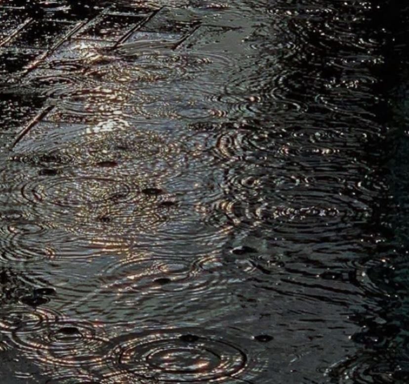Rain