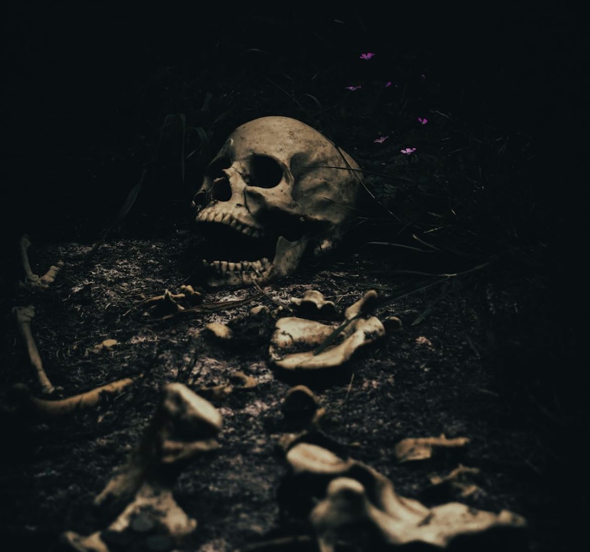 Horror ♱