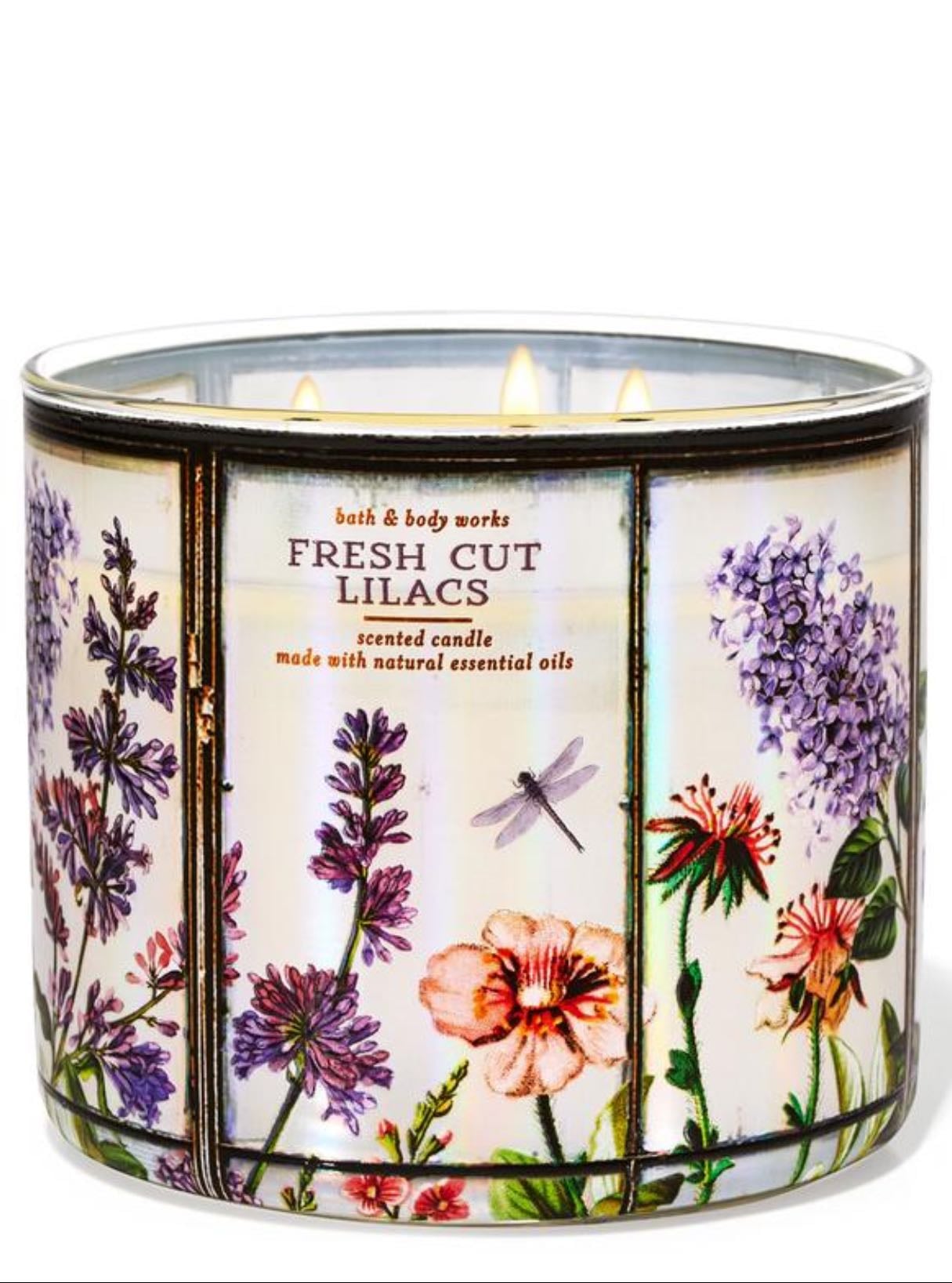 Fresh cut lilacs - lilac bouquets, dewy greens and soft spring air