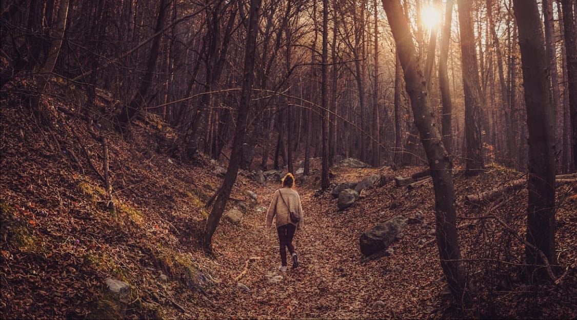 Perambulate - walk or travel through or around a place or area, especially for pleasure and in a leisurely way