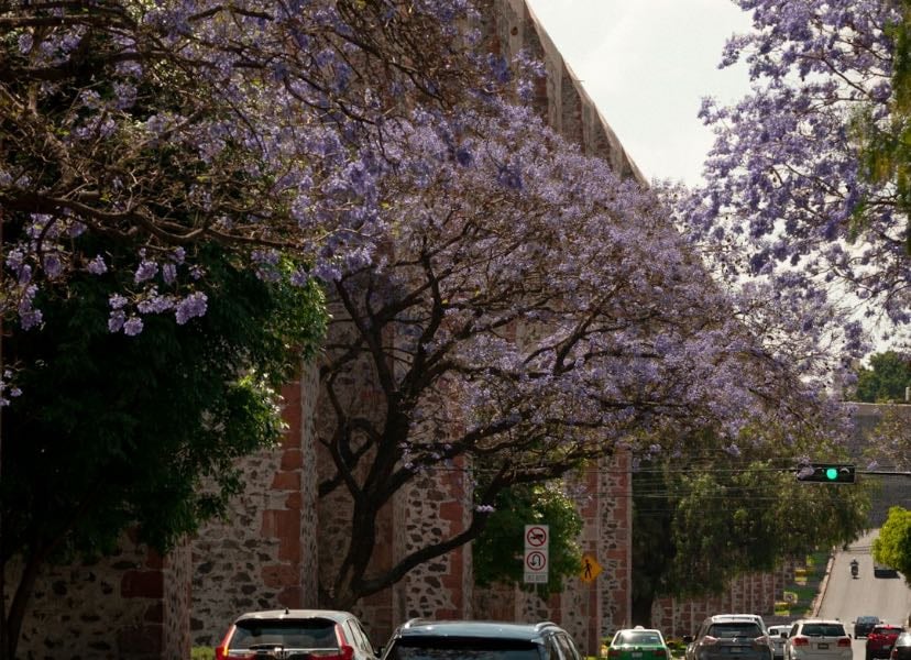 Queretaro