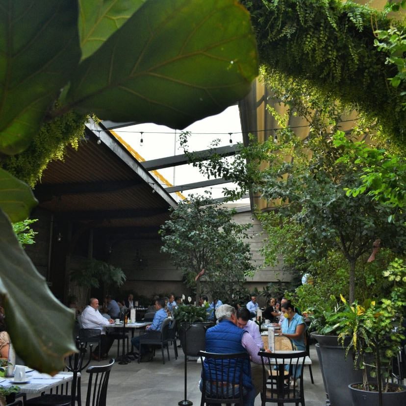 LA HOJA Café