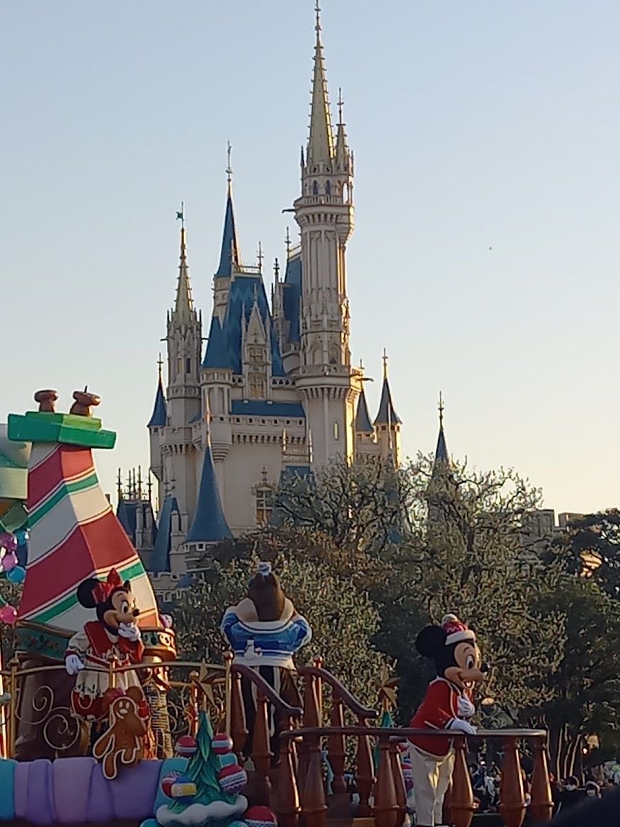 Tokyo Disneyland