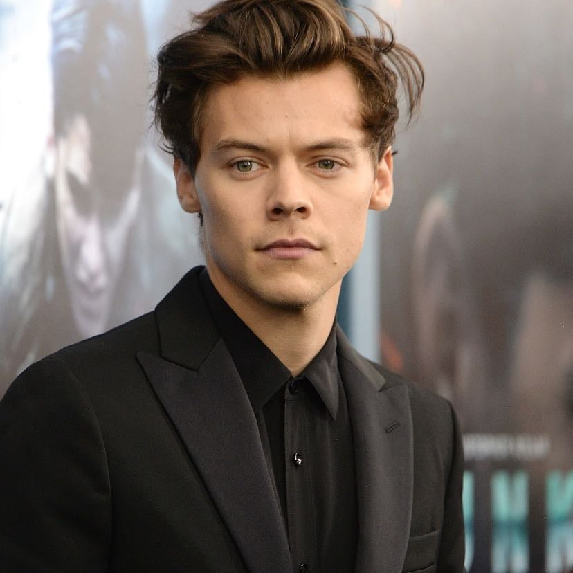 Harry Styles - Artist