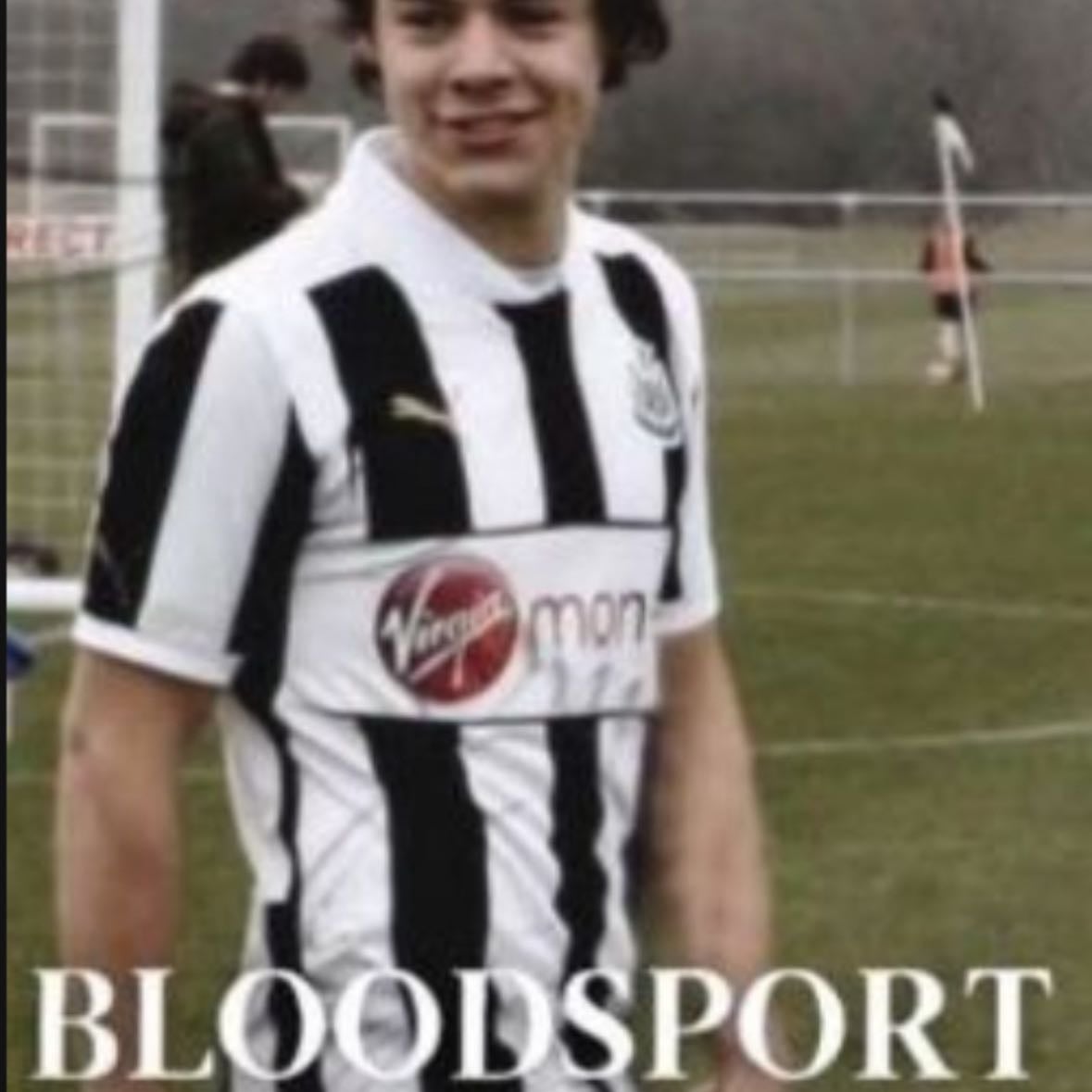 Bloodsport - Harry pov of unbelievers