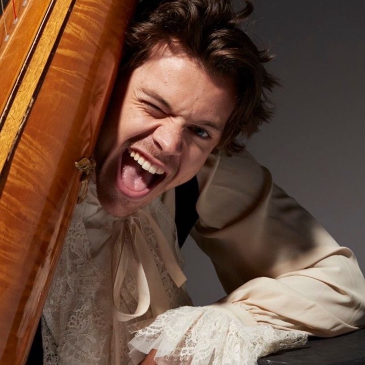 Harry snl
